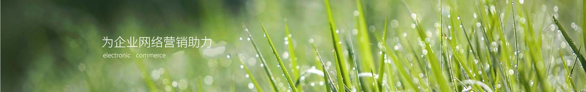 ʢеƼ޹˾